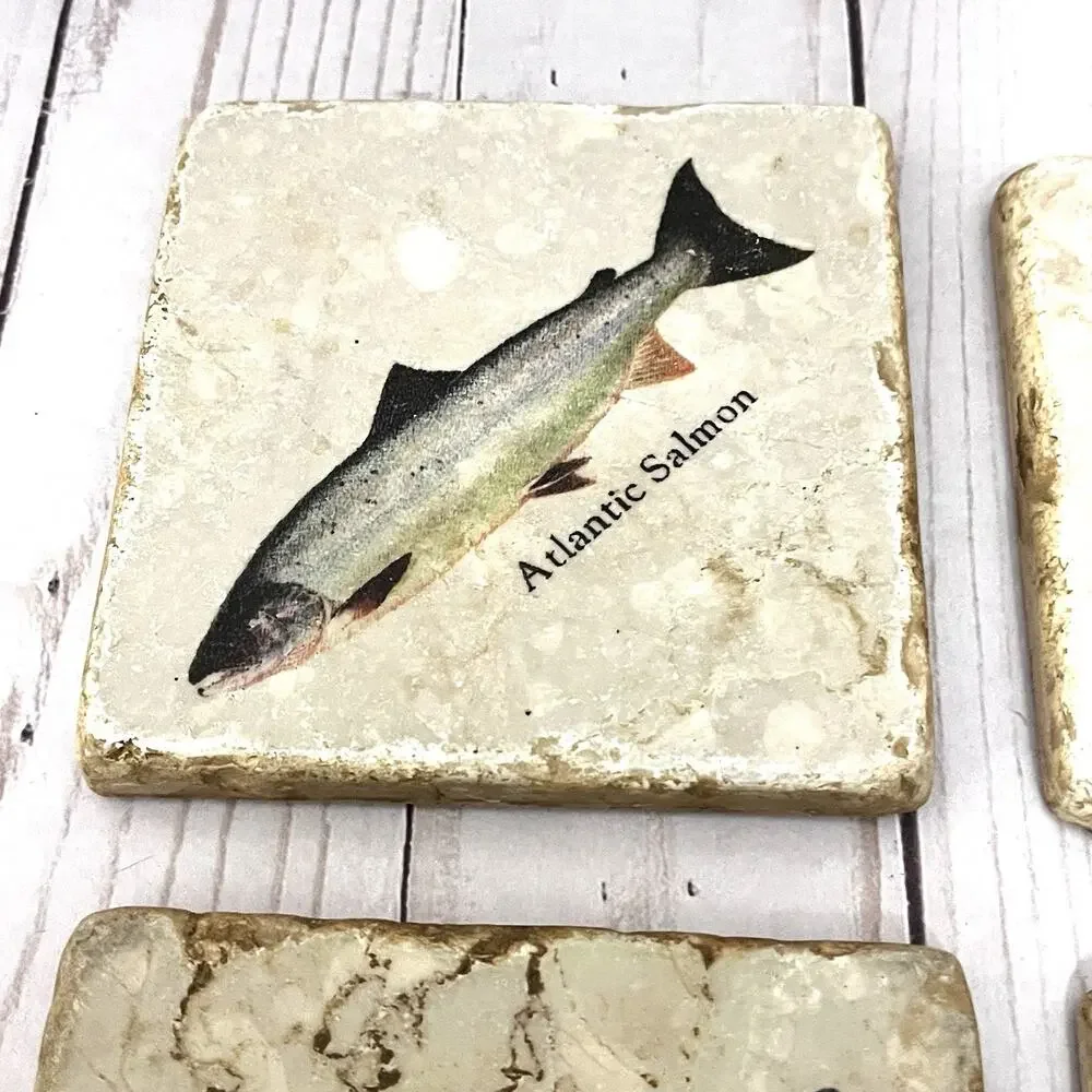 Studio Vertu Stone Coaster Set 4 Fish Salmon Trout Travertine Rustic Lodge Decor